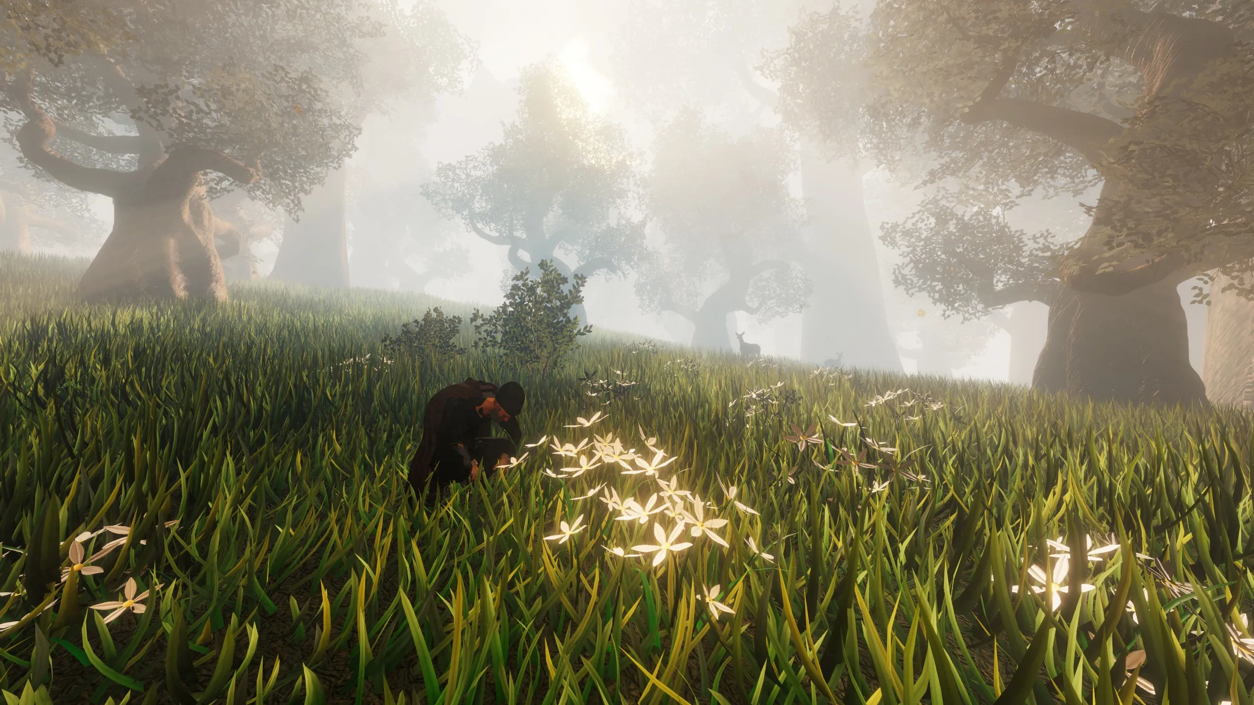 A witch crouching to pick glowing white flowers in a misty forest